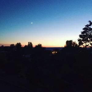 Meet your Posher, Sasha